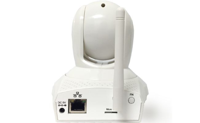 AVP562W back wp